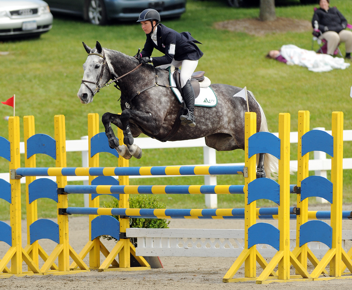 Showjumping Wallpapers Wallpaper Cave Showjumping Wallpapers Wallpaper Cave
