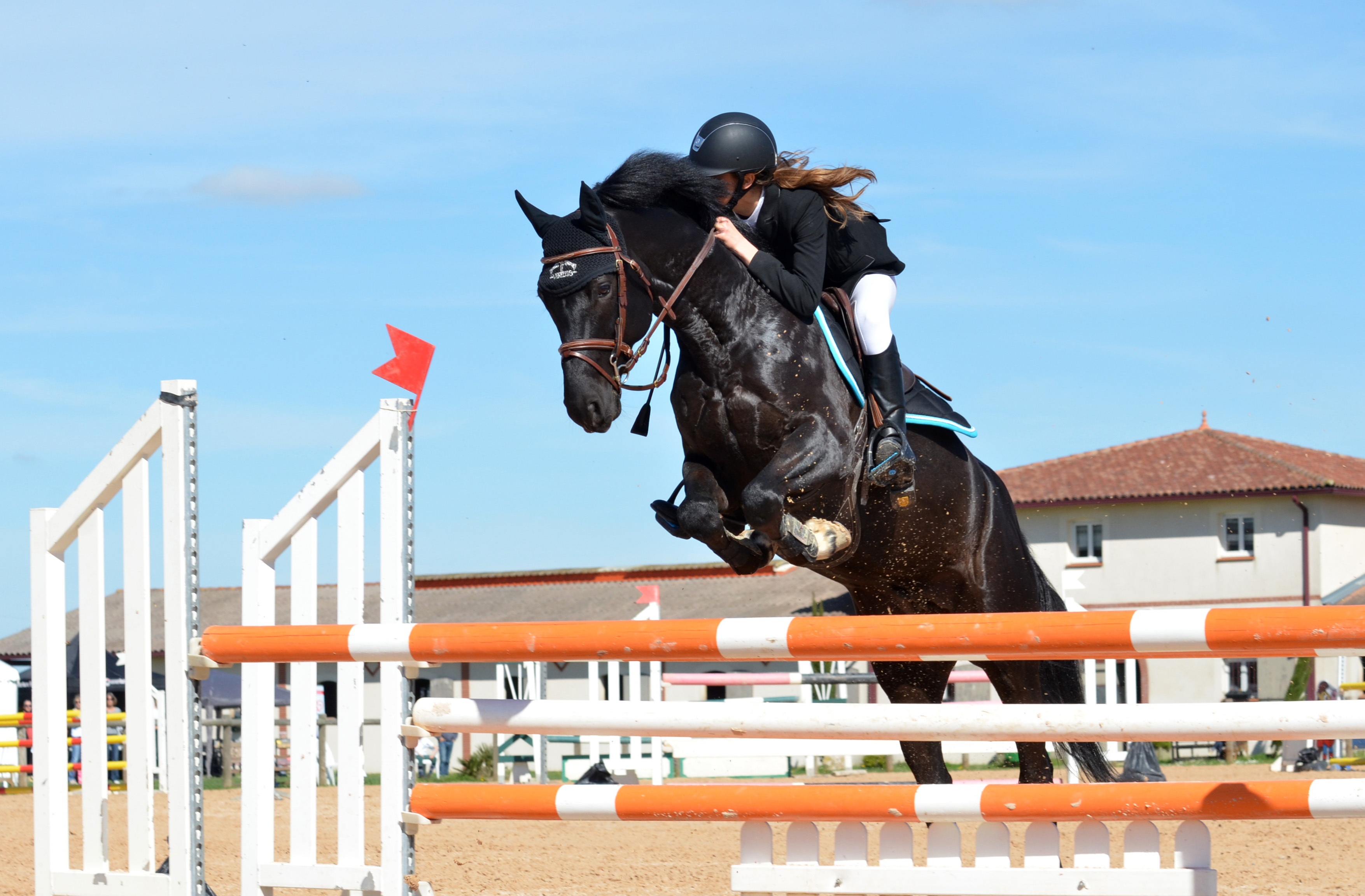 Jumping Over Obstacles At A Show HD Wallpaper