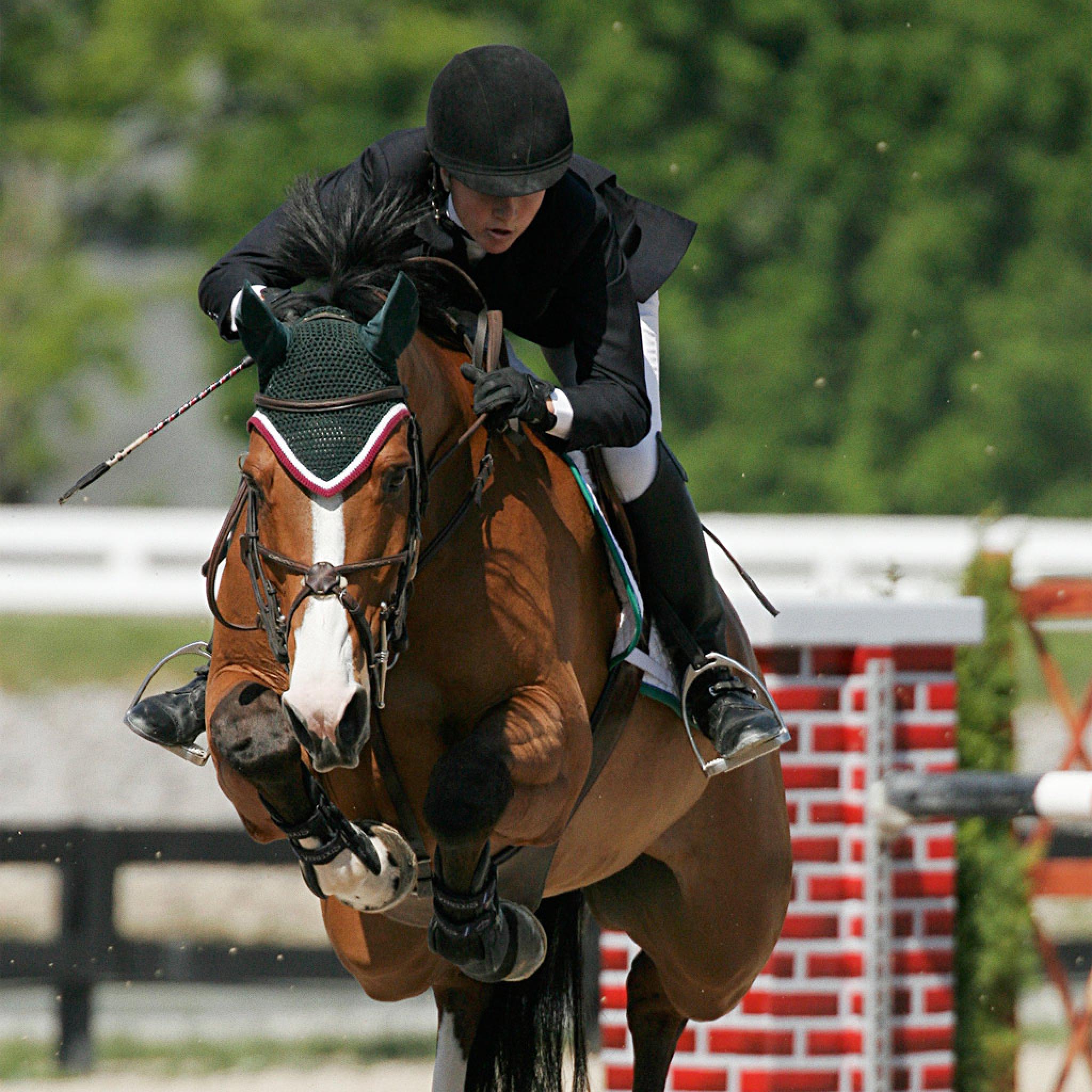 Miscellaneous Riding Show Jumping iPhone HD Wallpaper Free