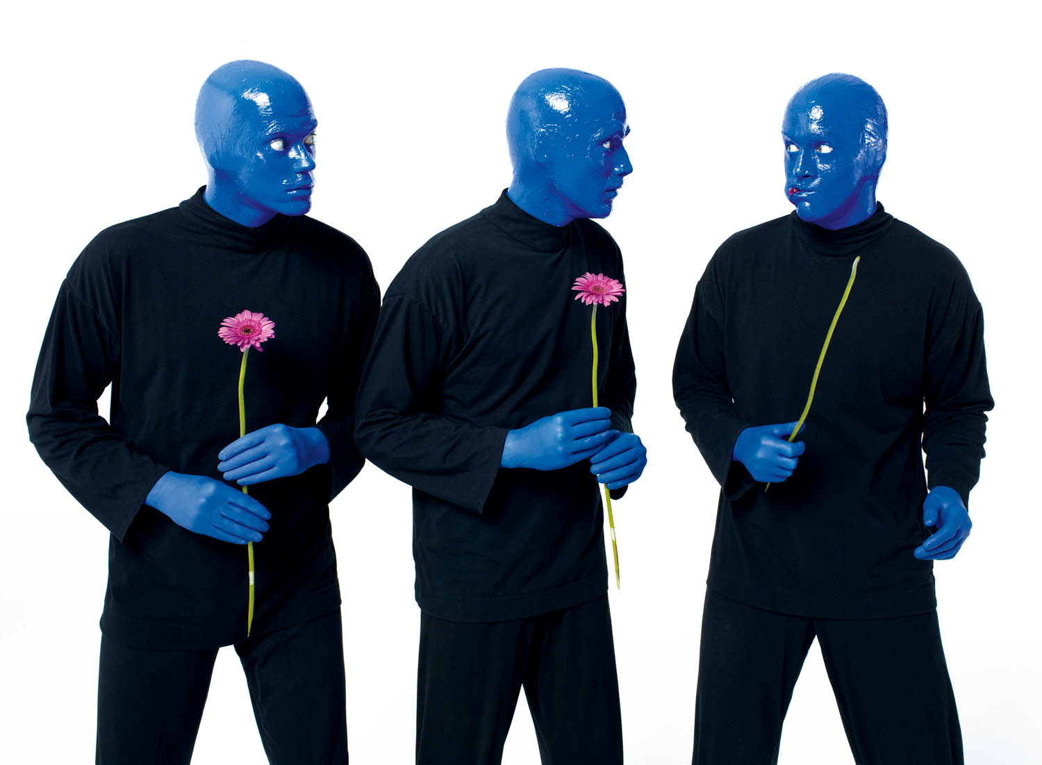 Blue Man Group wallpaper, Music, HQ Blue Man Group pictureK Wallpaper 2019
