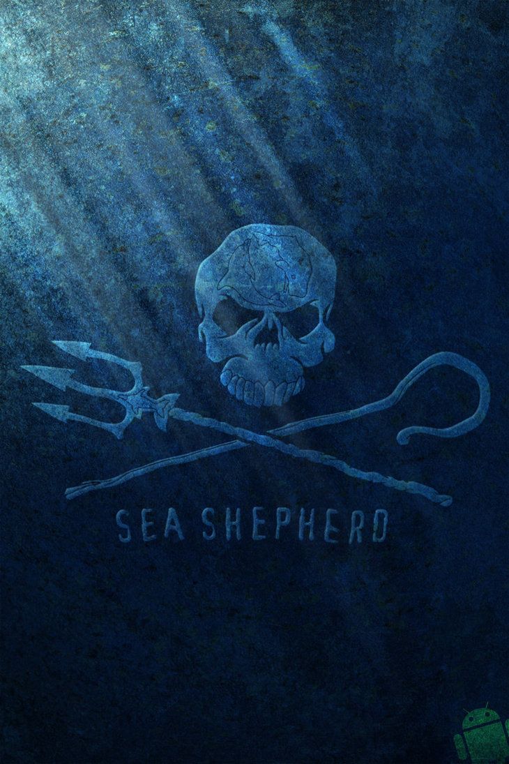 Épinglé par N Ruiz sur Sea Shepherd. Drapeau pirate, Image animaux, Animaux