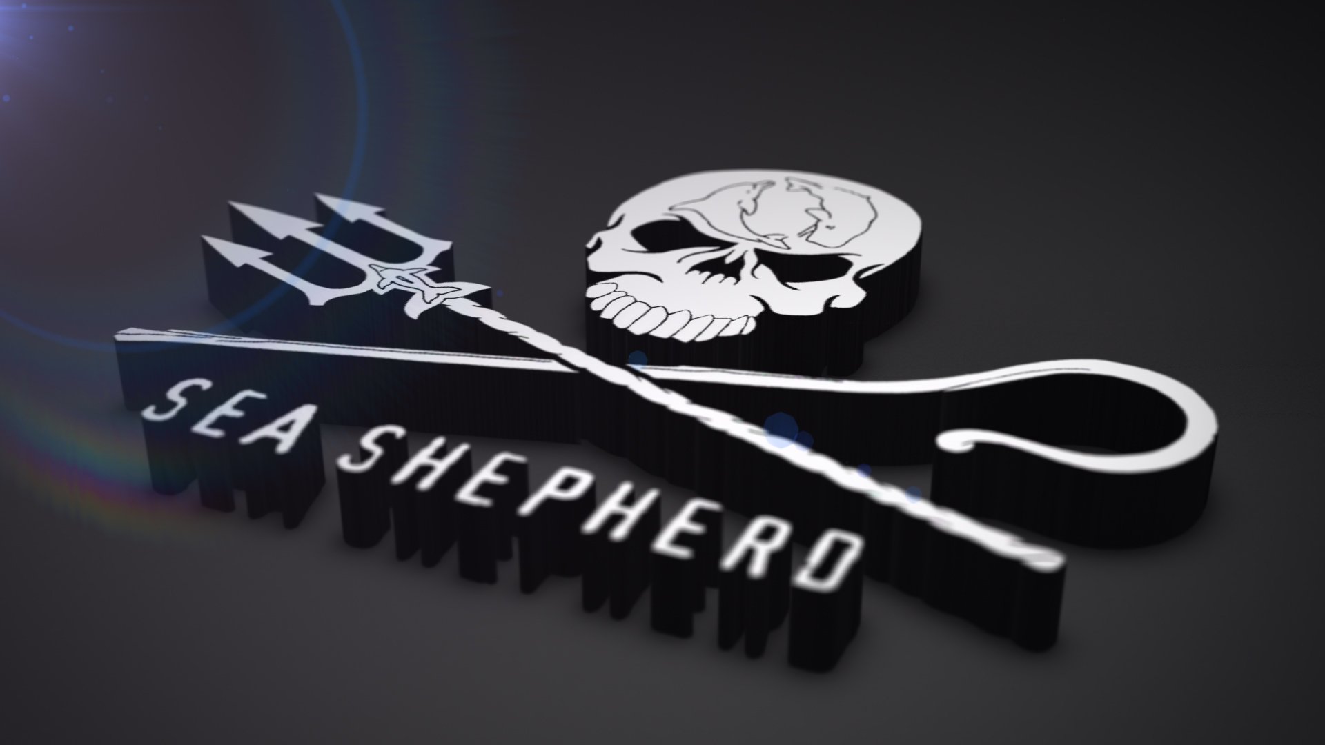 Sea Shepherd HD Wallpaper and Background Image
