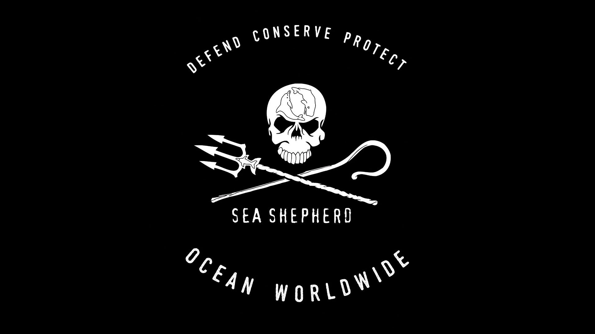 Sea Shepherd Wallpapers Wallpaper Cave Sea Shepherd Wallpapers Wallpaper Cave