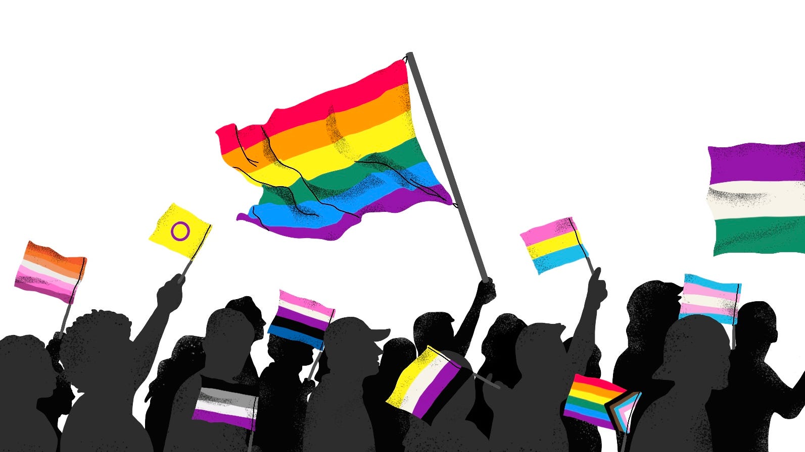 LGBTQ Pride flags and what they mean: See gay, lesbian, trans and more