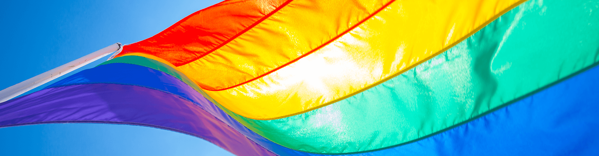 LGBT Vacations in Puerto Vallarta. Official Tourism Guide