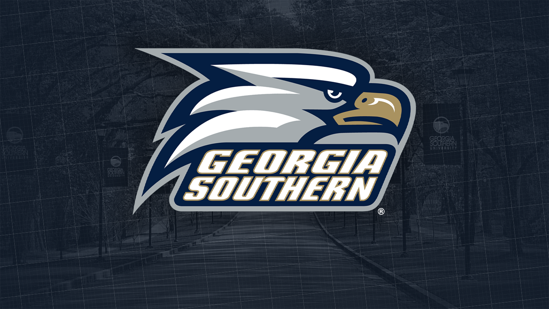 Spruce Up Your Video Conferences With GS Themed Zoom Background Southern University Athletics