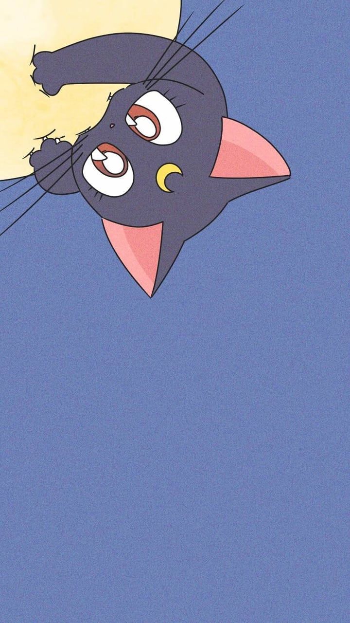 Discovered by Mαяvєℓσus Gιяℓ. Find image and videos about cute, anime and cat. Sailor moon cat, Cute cartoon wallpaper, Sailor moon wallpaper