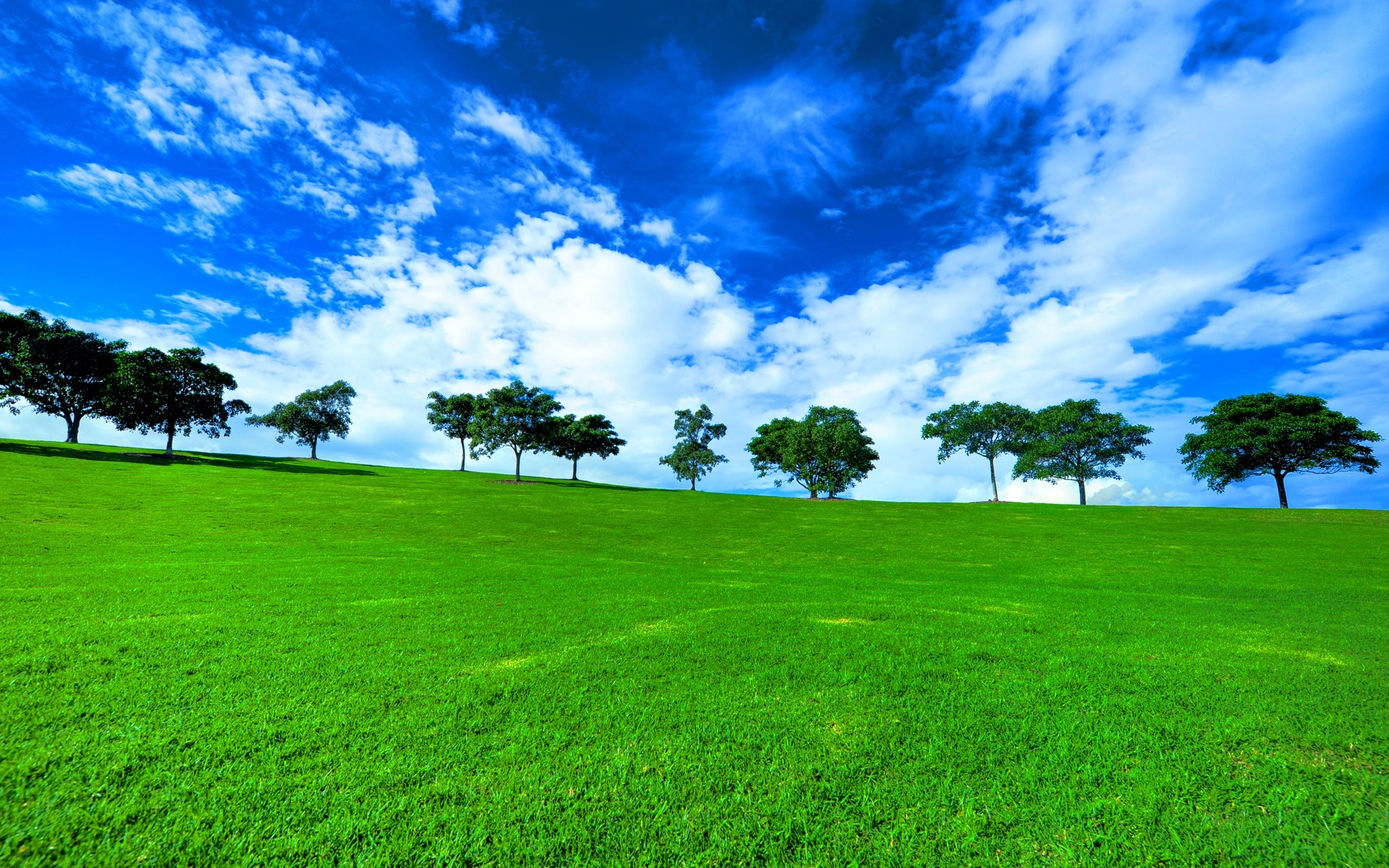 Grass Ground Wallpapers Wallpaper Cave Grass Ground Wallpapers Wallpaper Cave