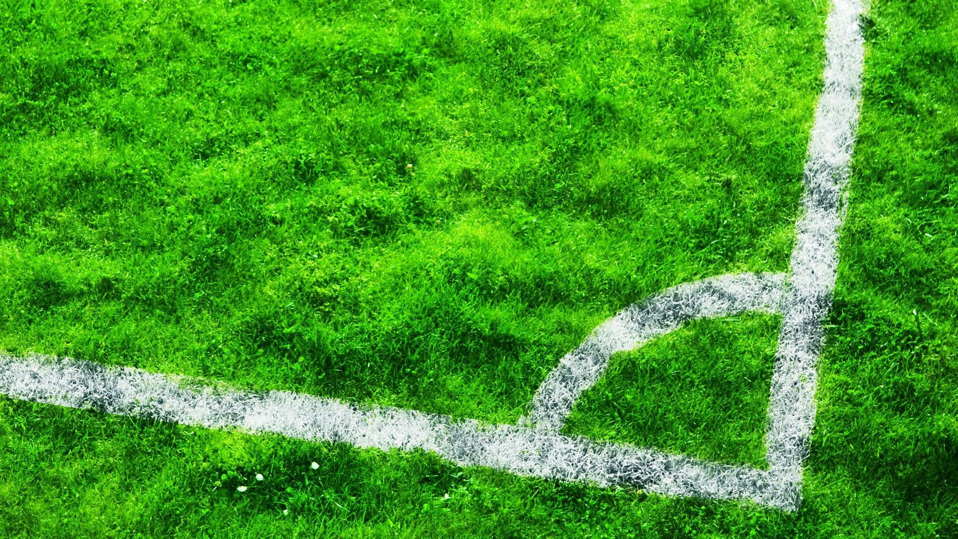 Grass High Resolution Football Ground