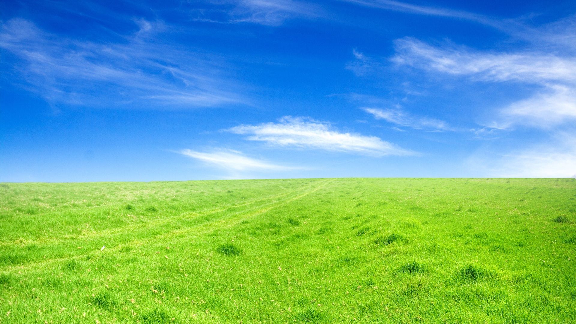 Green Grass and Blue Sky Wallpaper Free Green Grass and Blue Sky Background