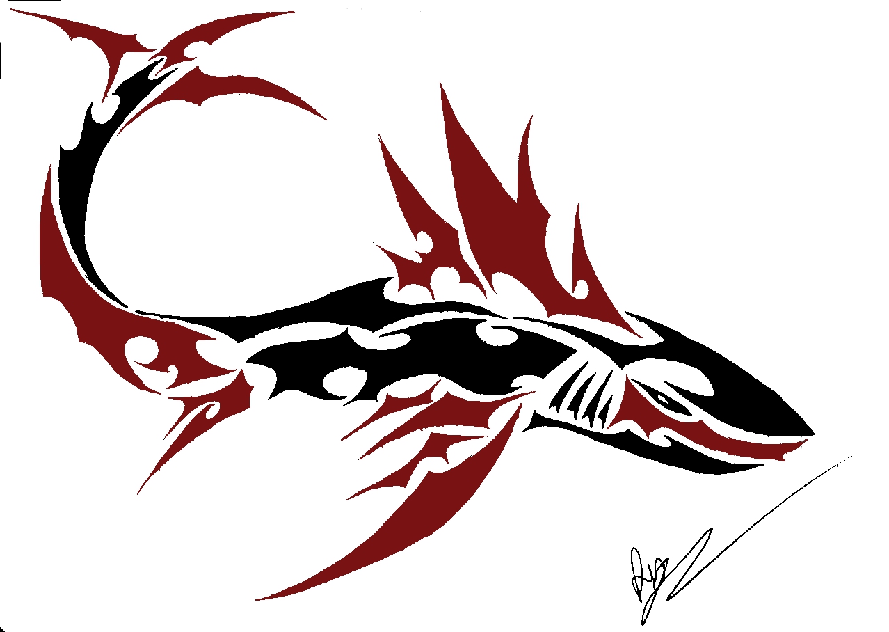 Hawaiian Tribal Shark Tattoo Designs Wallpaper Shark Tattoo Wallpaper & Background Download