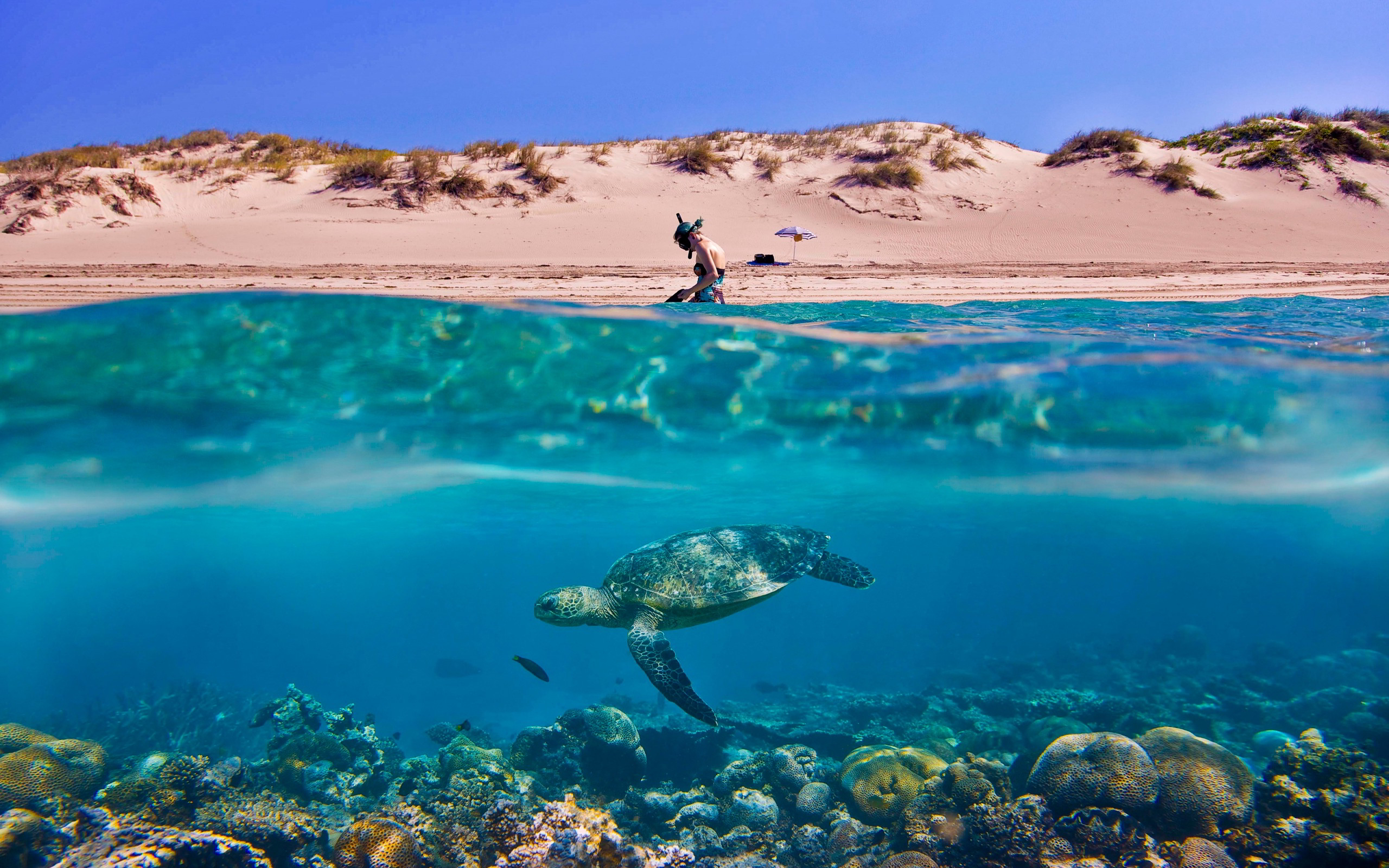 Beach Underwater wallpaperx1600