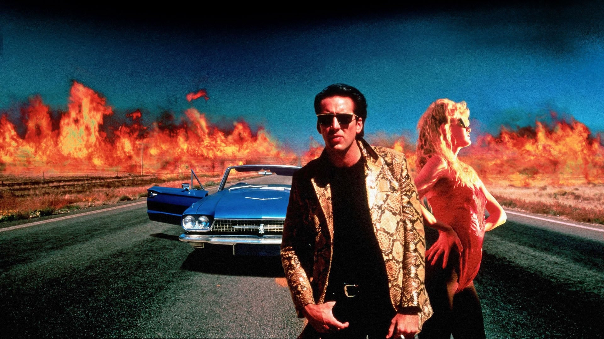 Wild At Heart Movie Wallpaper & Posters (4K HD)