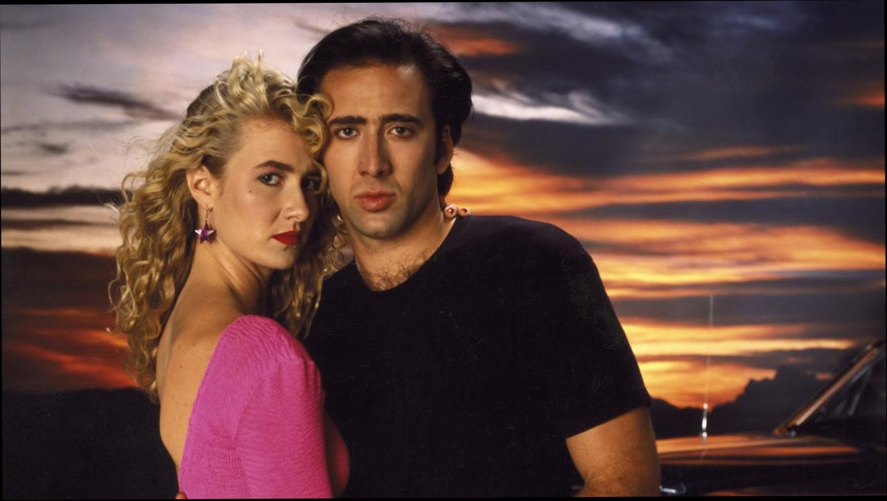 Wild at Heart Wallpaper HD Download