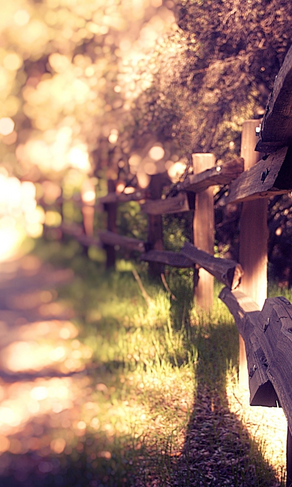 Summer Vintage Wallpaper