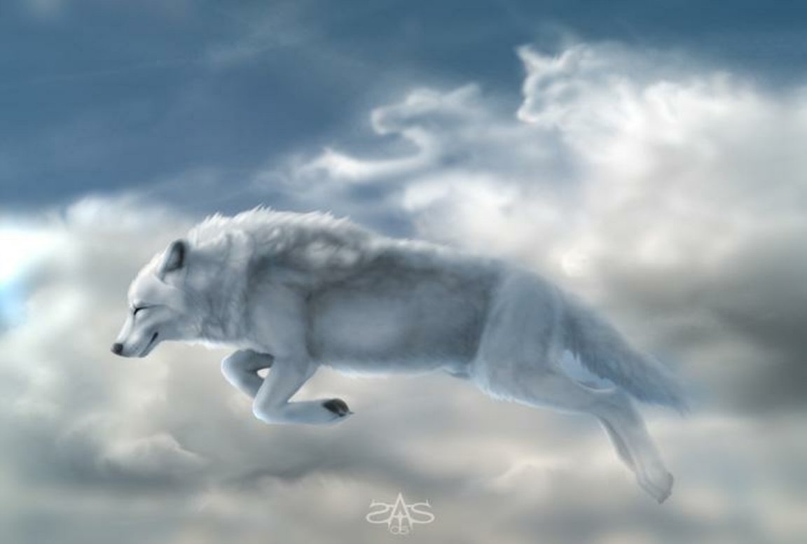 White Wolf In The Sky