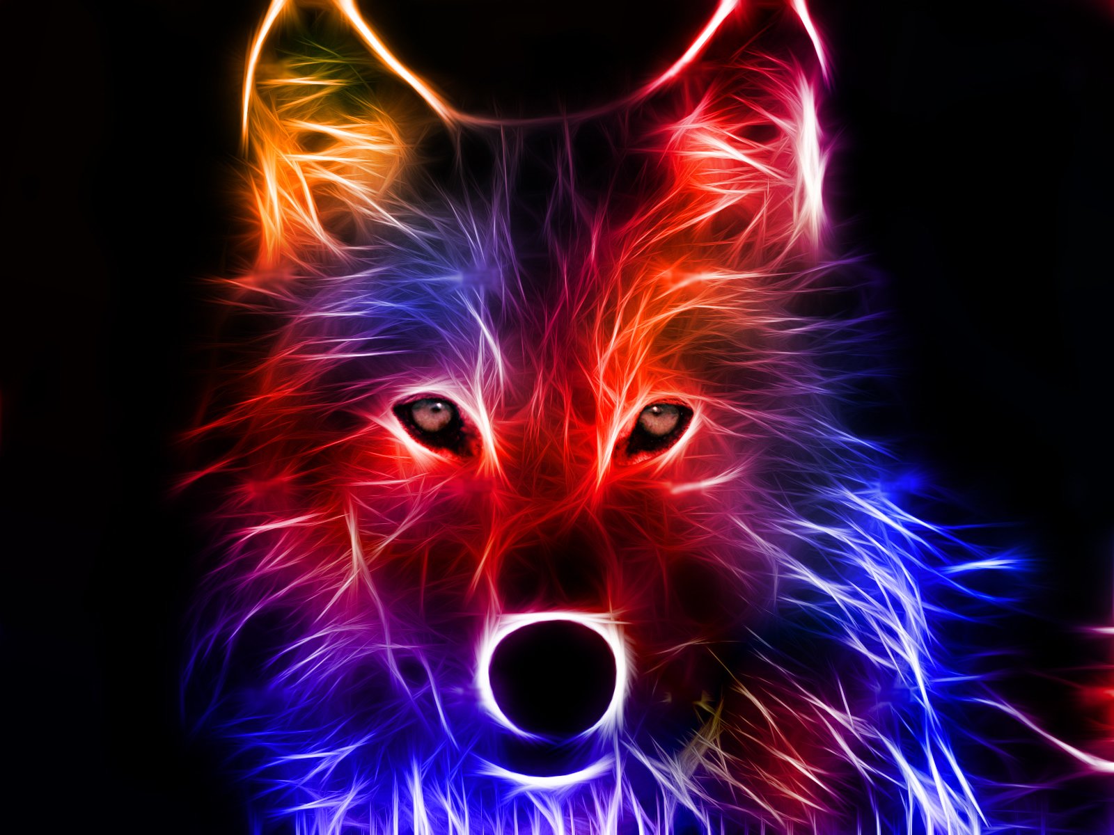 Wolf Picture, Art, Colorful, Hd, Photo, Wolf, Animals