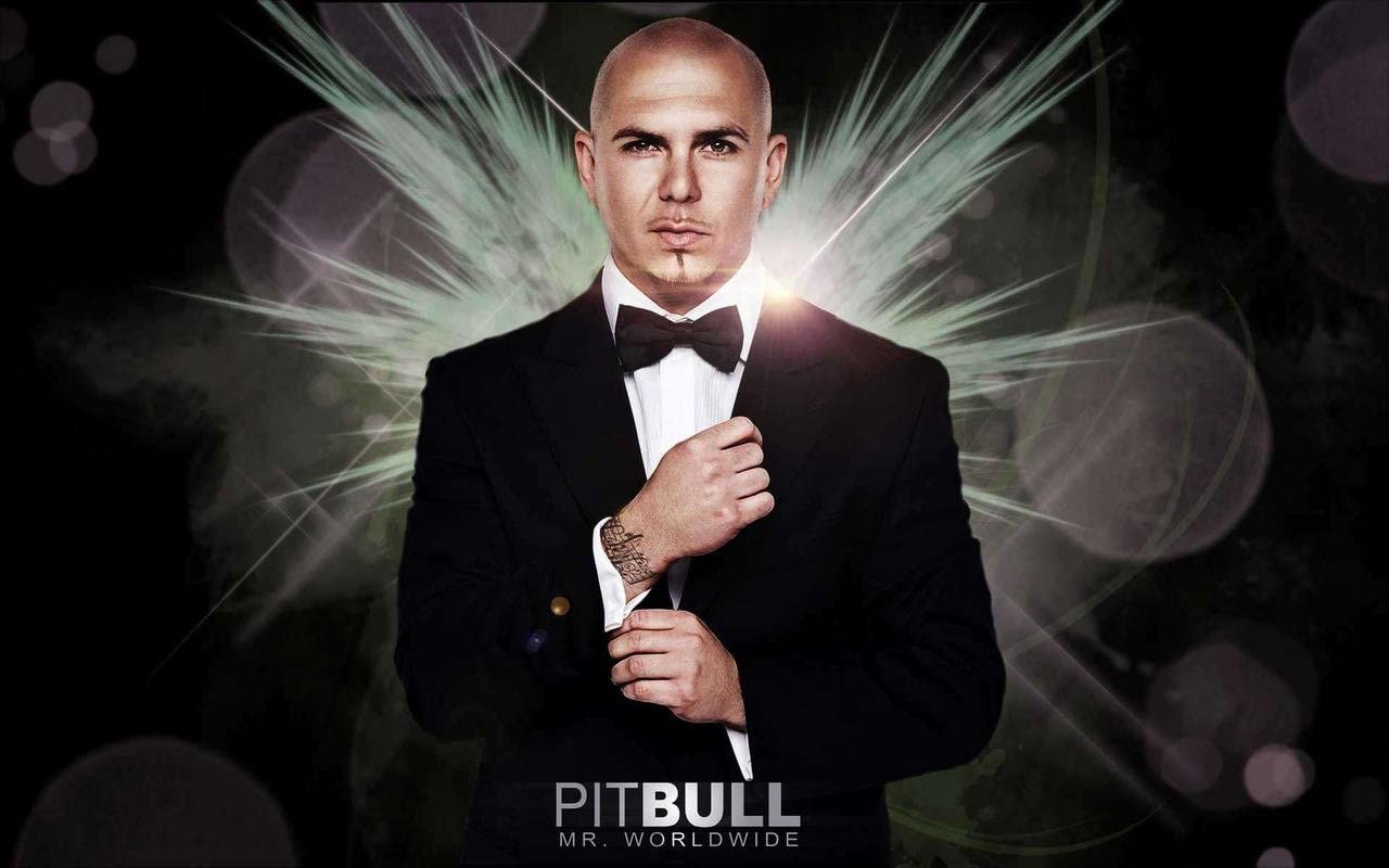 Pitbull Rapper Mr. Worldwide Singer Songwriter 12 x 18 Inch Quoted Multicolour Rolled Unframed Poster: Posters & Prints