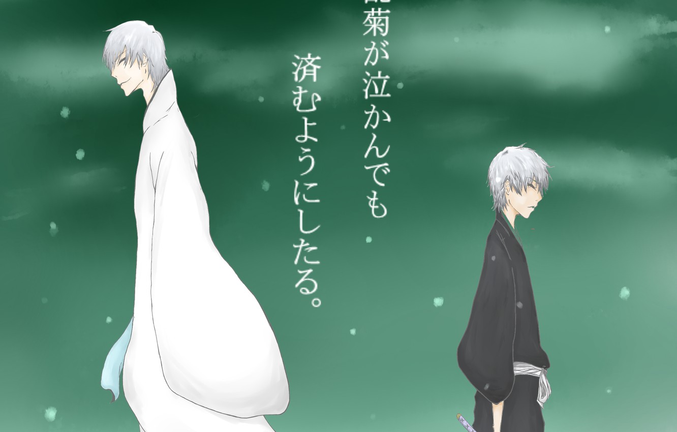 Wallpaper Bleach, bleach, Gin Ichimaru image for desktop, section прочее