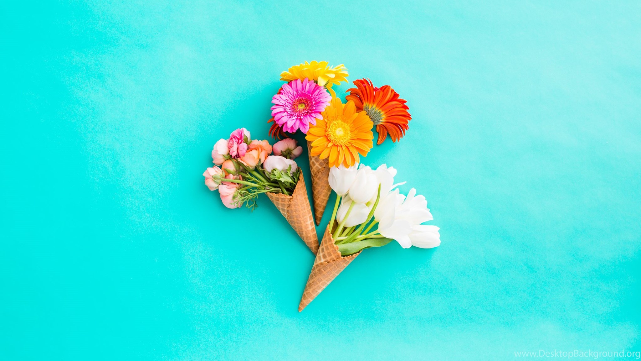 Brand New Desktop And Smartphone Wallpaper For Spring Desktop Background