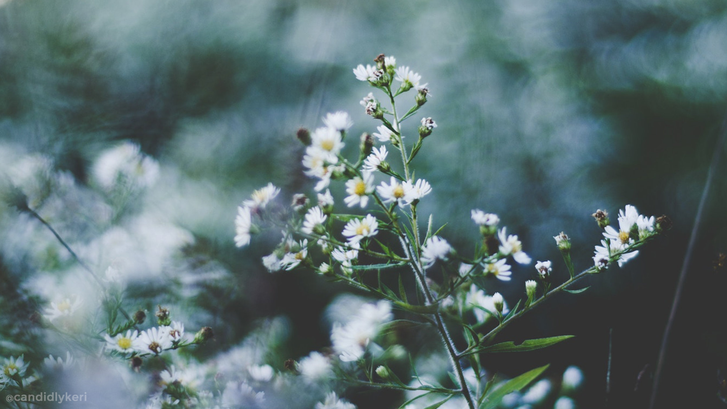 Old Desktop Wallpaper