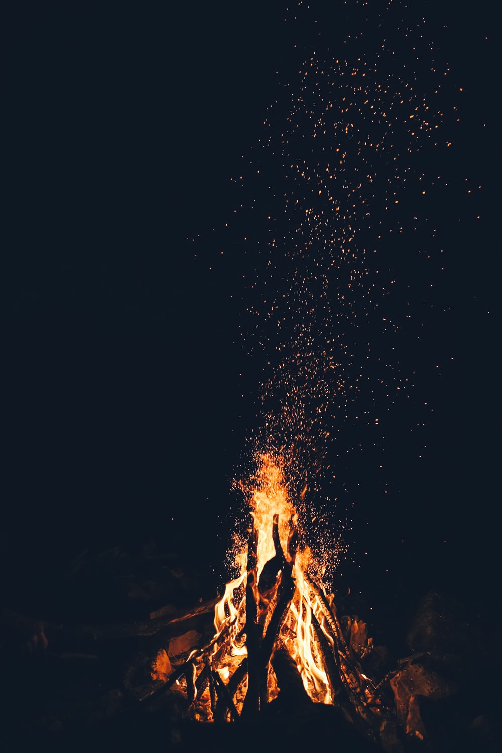 selective focus photography of marshmallows on fire pit photo