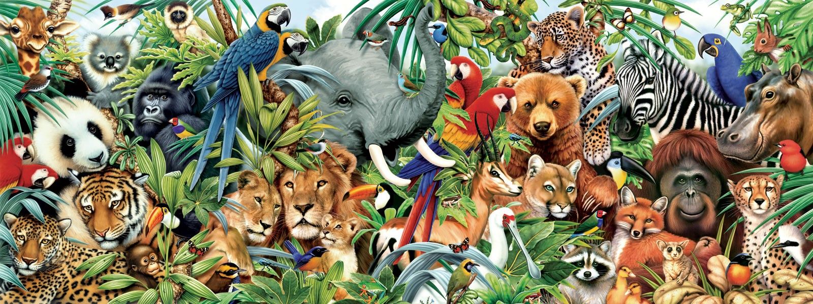 Tropical Animal Wallpaper Free Tropical Animal Background