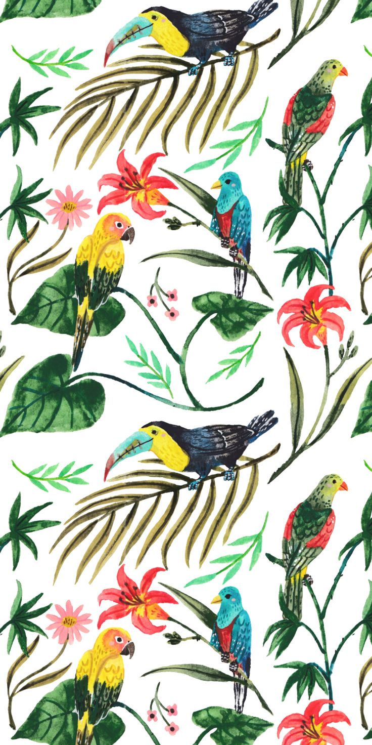 Tropical #Birds. #Casetify #iPhone #Art #Design #Illustration #Nature # Animals. Animal wallpaper, Bird illustration, iPhone art