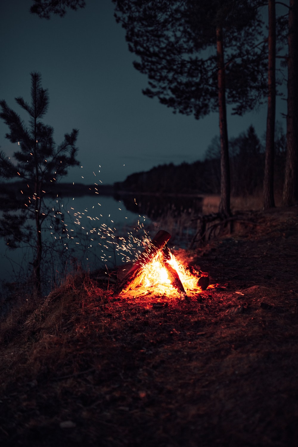 Fire Pit Picture [HQ]. Download Free Image