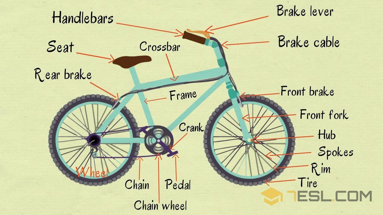 Bike Parts: Useful Parts of a Bicycle in English with Picture