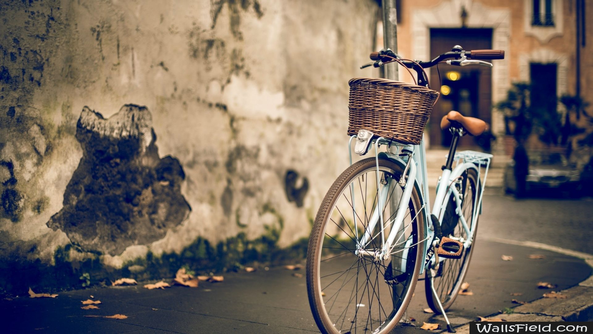 Vintage Woman Bike.com. Free HD Wallpaper. Bicycle wallpaper, Bicycle, Wallpaper vintage