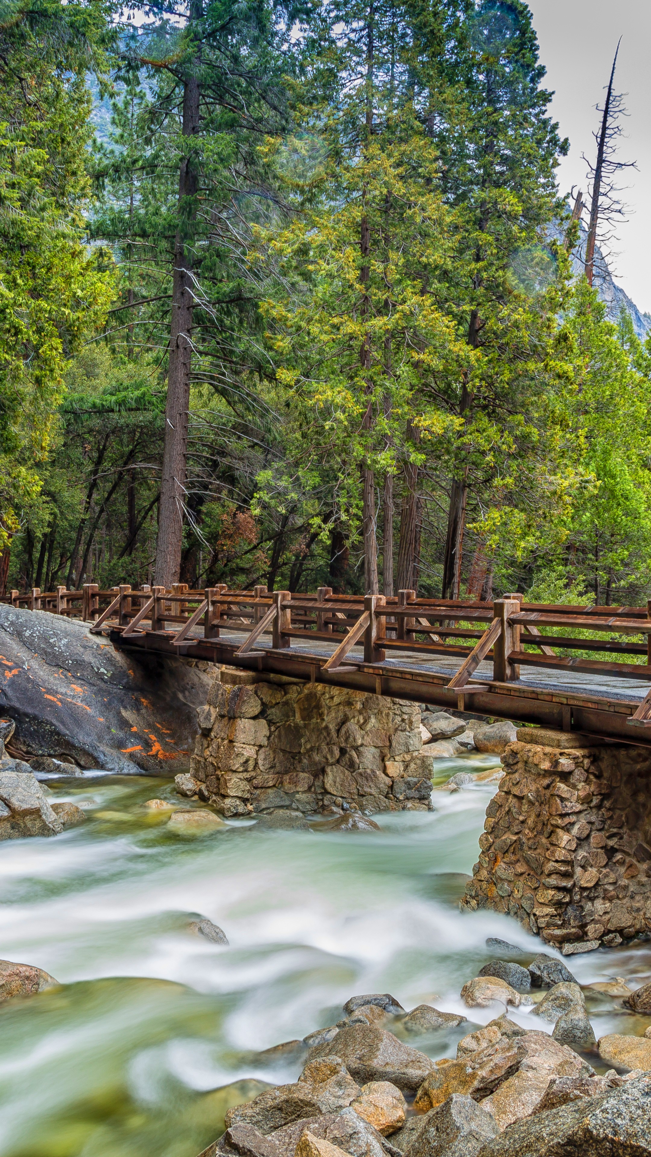Wallpaper Yosemite, 5k, 4k wallpaper, 8k, forest, OSX, apple, mountains, bridge, Nature