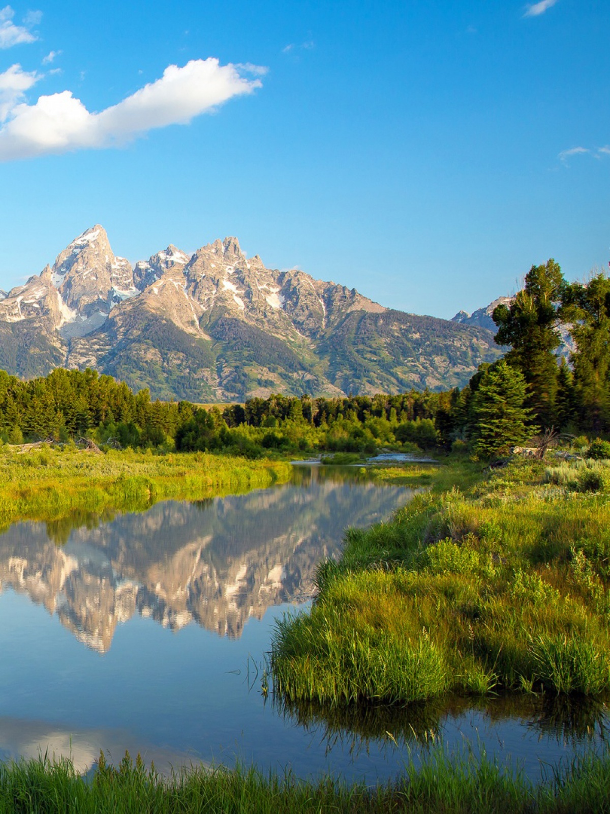 Morning Scenery Mobile Wallpaper