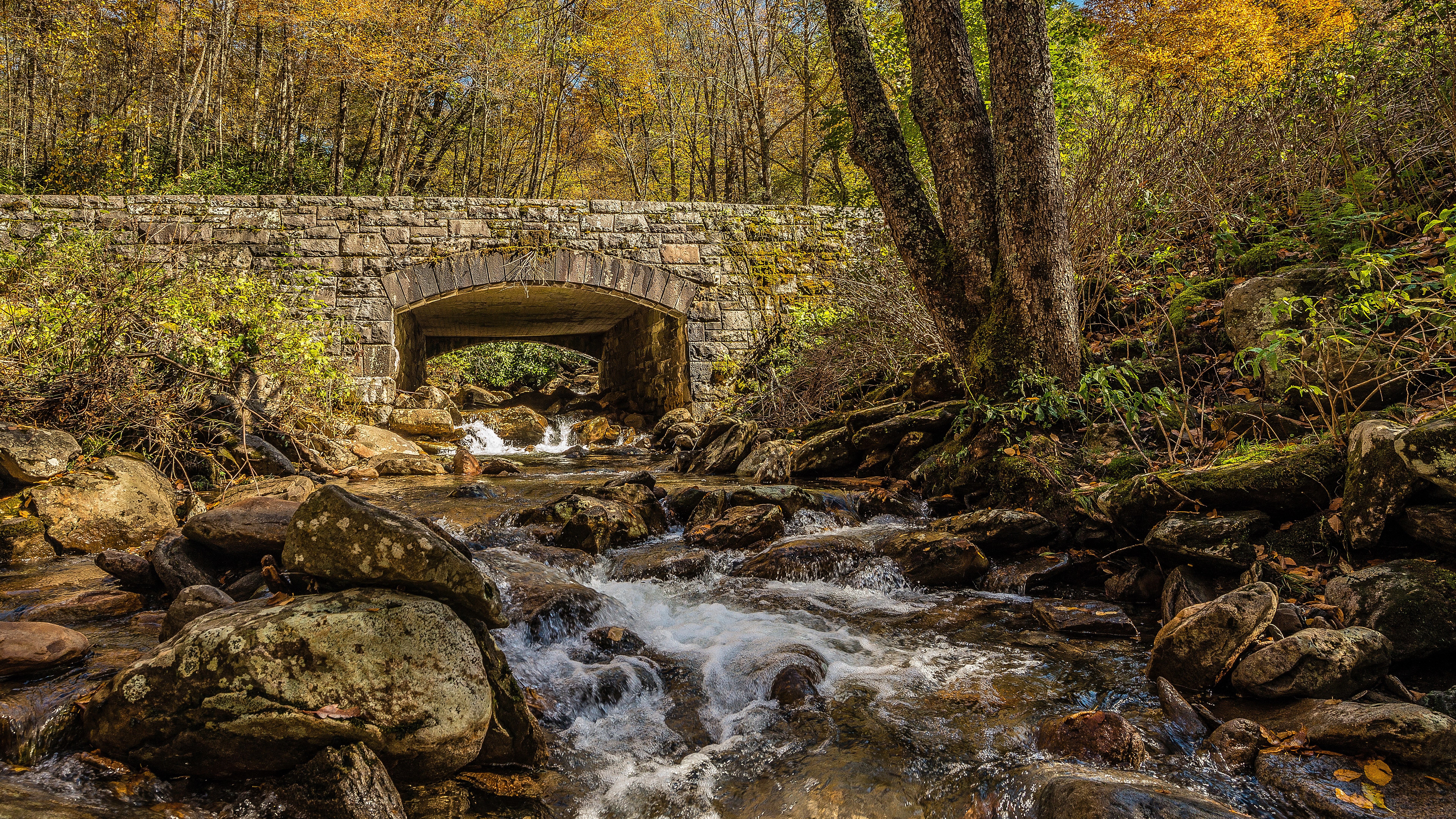 8k uhd picture K #wallpaper #hdwallpaper #desktop. Bridge wallpaper, Wallpaper, Waterfall picture