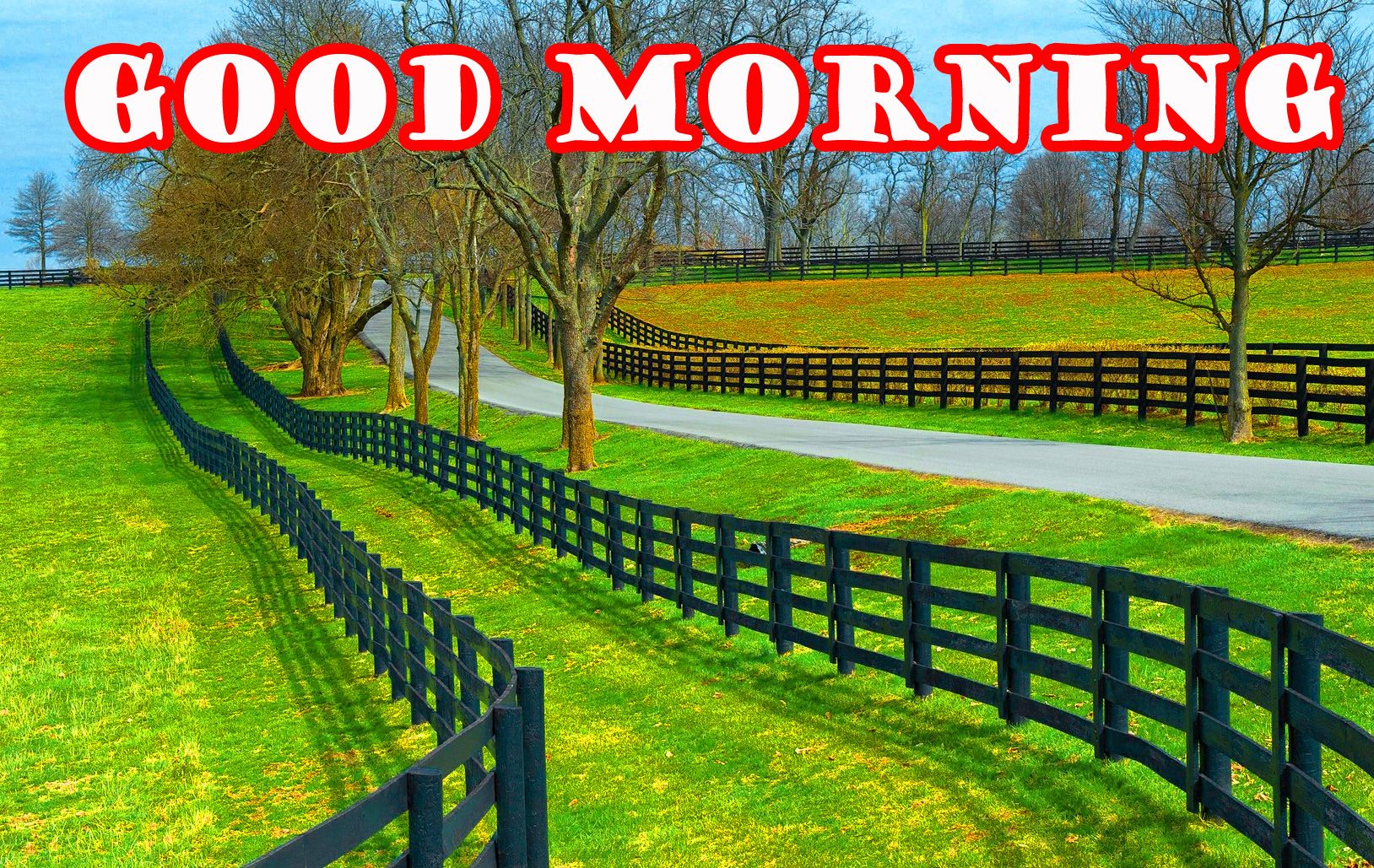 good morning nature image HD download. Nature picture, HD nature wallpaper, Nature wallpaper