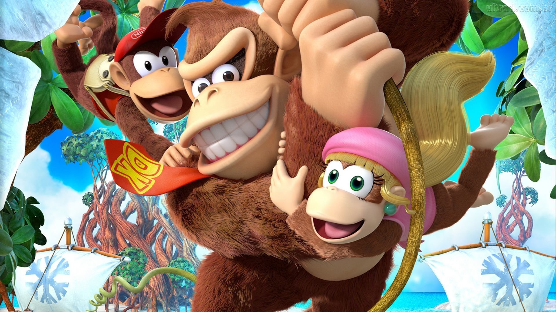 Donkey Kong Country: Tropical Freeze HD Wallpaper and Background Image