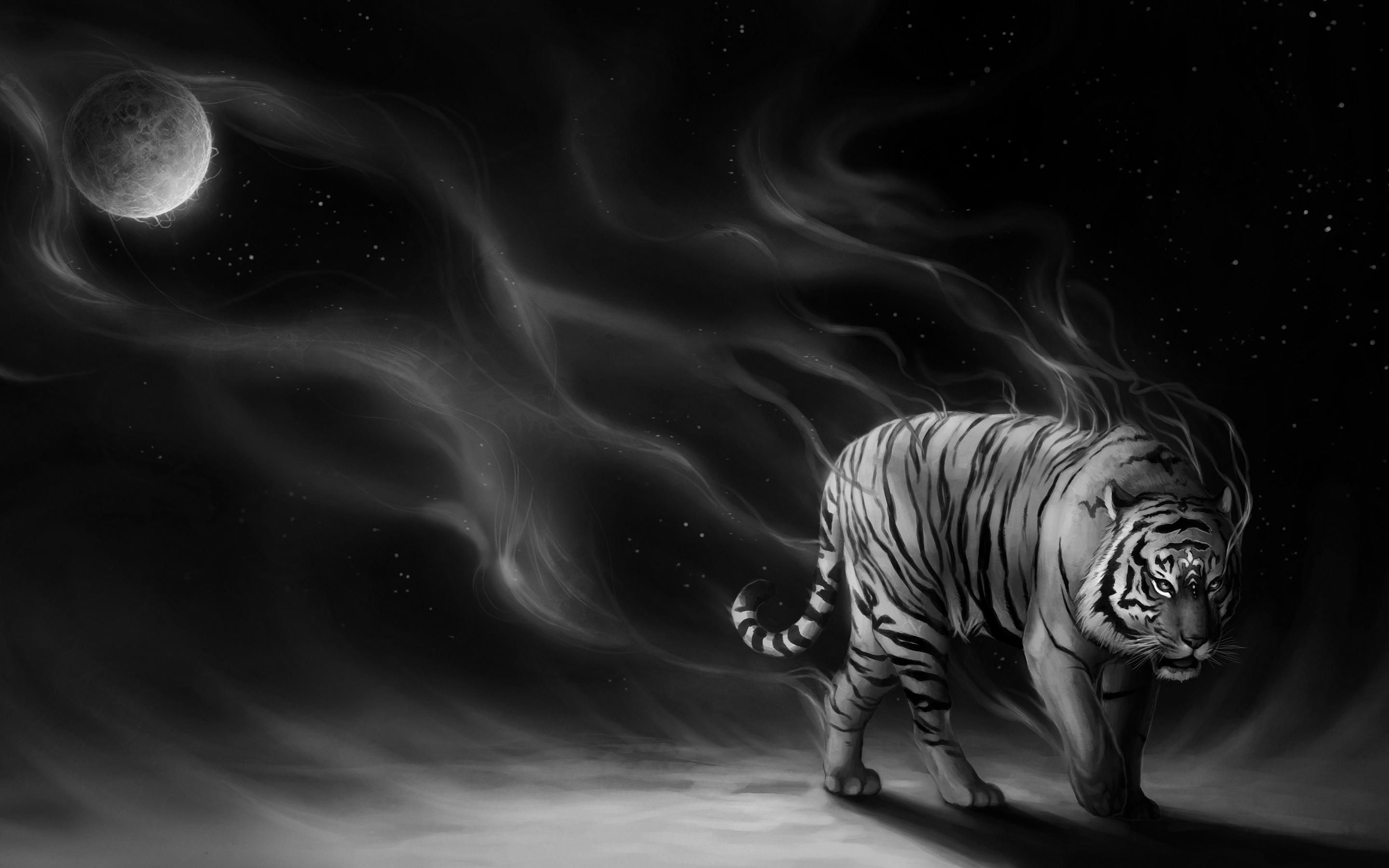 Black And White Tiger Computer Wallpapers - Wallpaper Cave