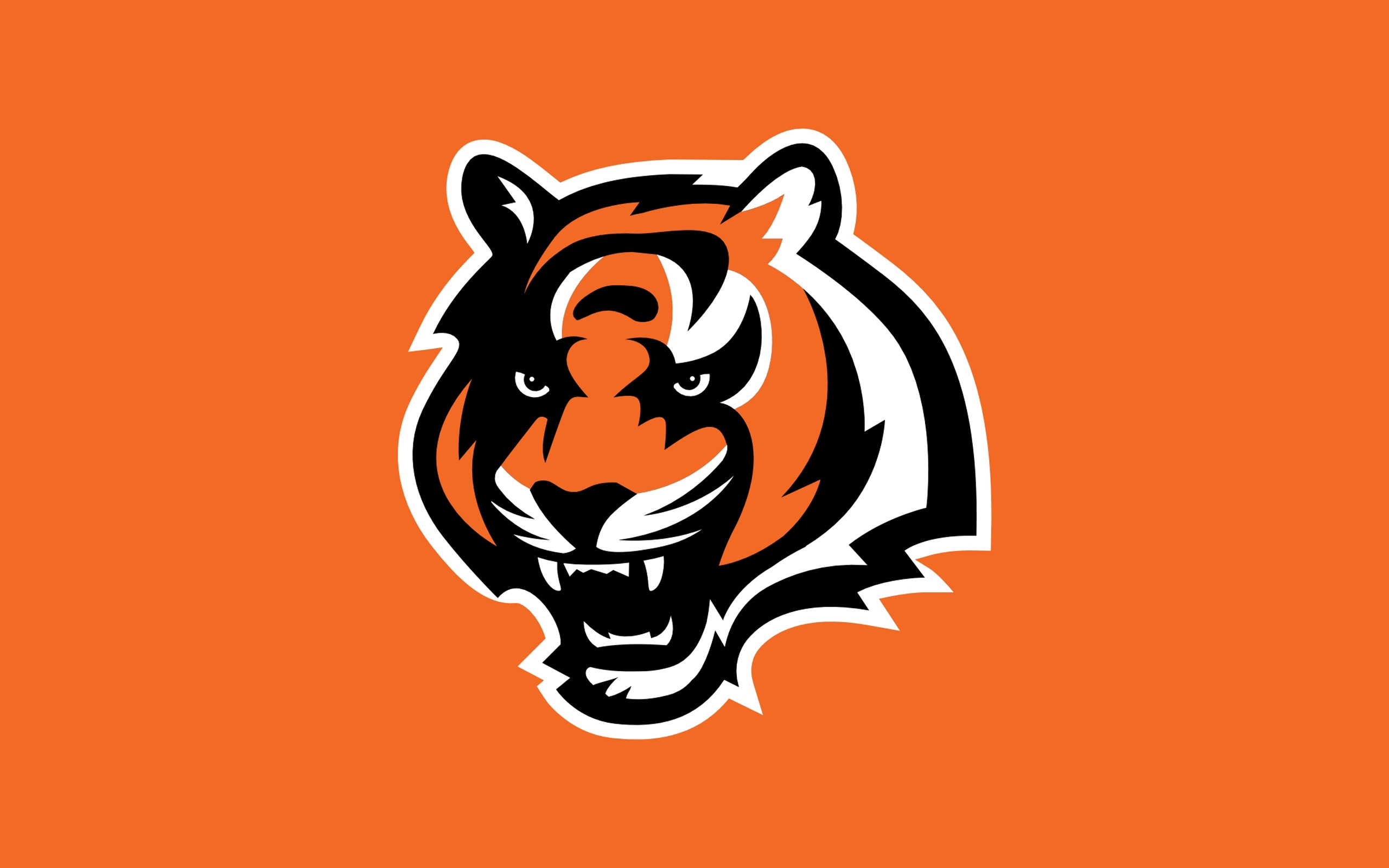 cincinnati bengals full orange 2560×1920