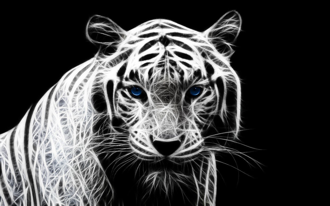 White Tiger wallpaper 1280x800 desktop background