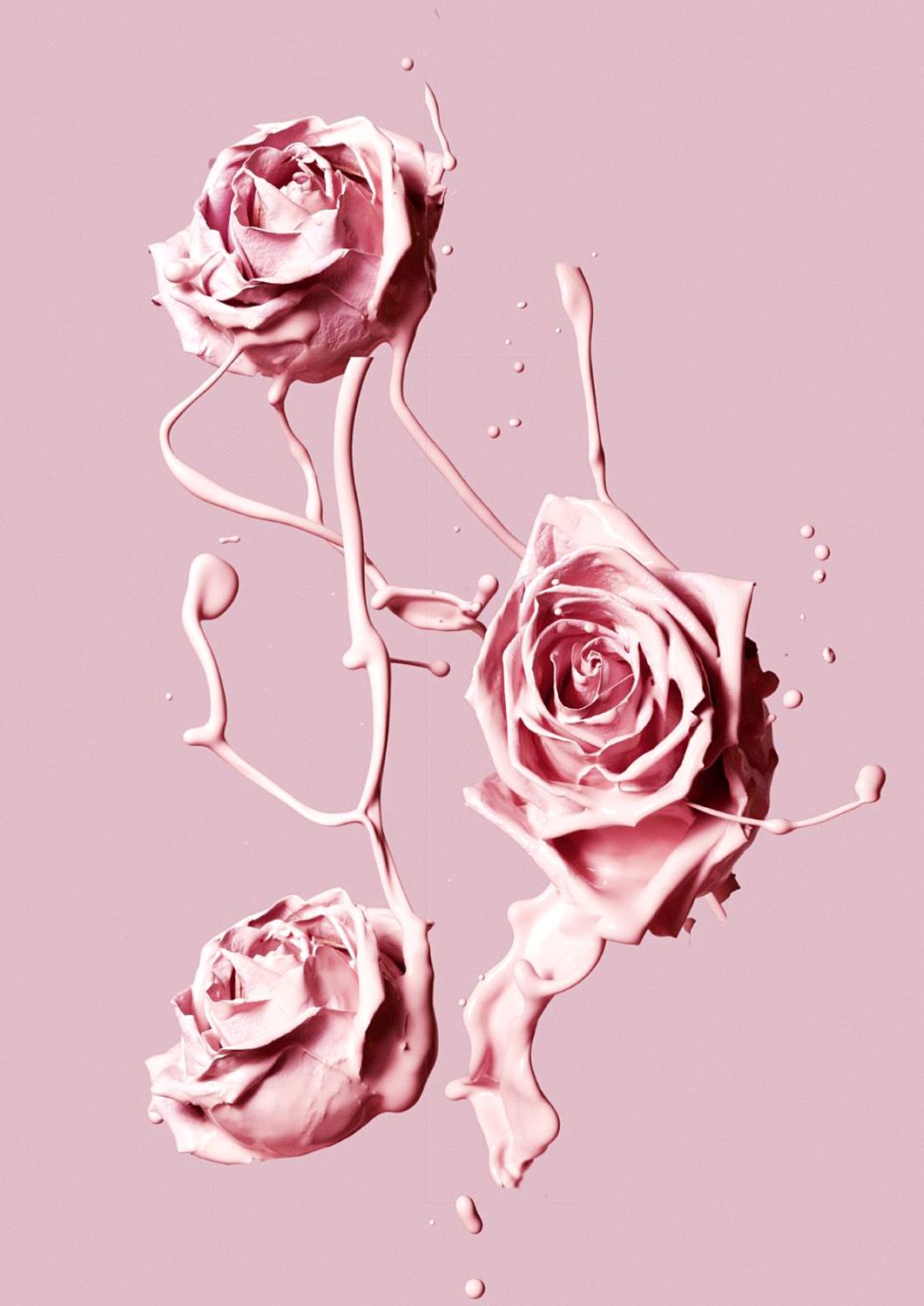 Old Rose Wallpaper Free Old Rose Background