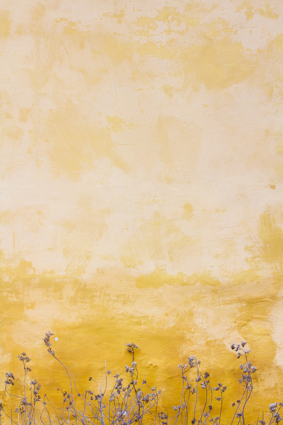 Pastel Wallpaper: Free HD Download [HQ]
