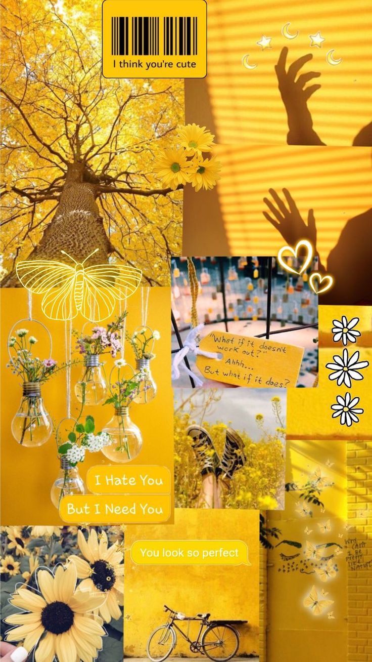 yellow #aesthetic #yellowaesthetic #flower #sunflower #yellowflower #filter #theme #aestheticwallpaper #moodboards #yellowwallpaper Pin. Wallpaper layar kunci iphone, Wallpaper estetika, Wallpaper pastel