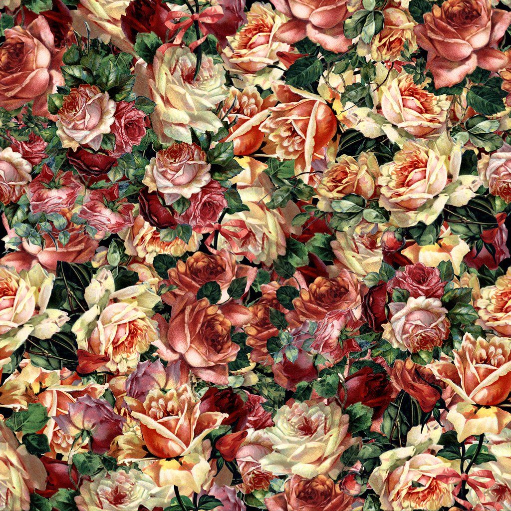 Rose Vintage Wallpaper