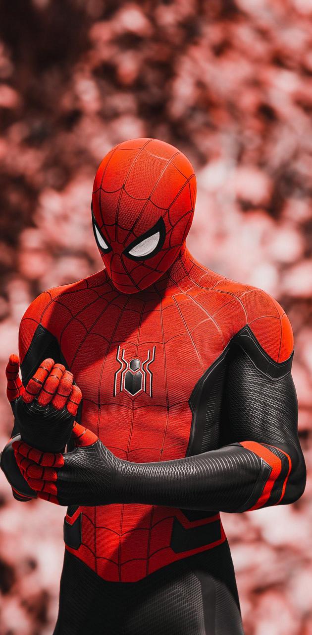SpiderMan Hero wallpaper