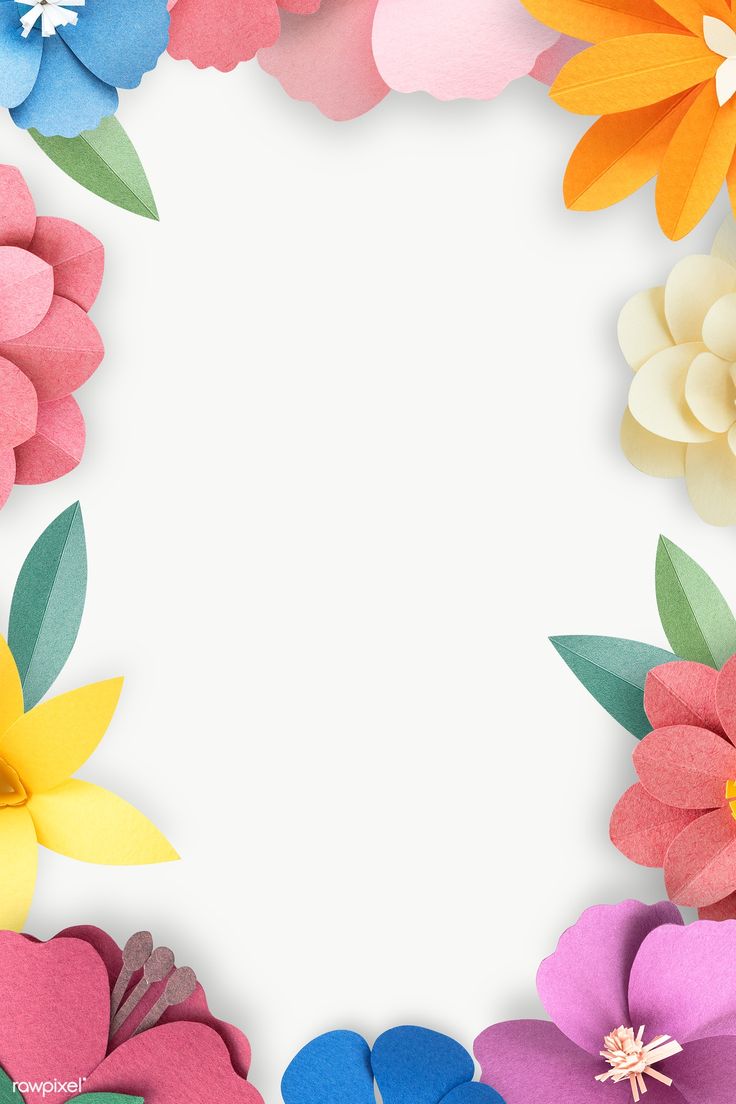 Colorful and tropical floral frame transparet png / nunny. Floral border design, Colorful borders design, Flower frame png