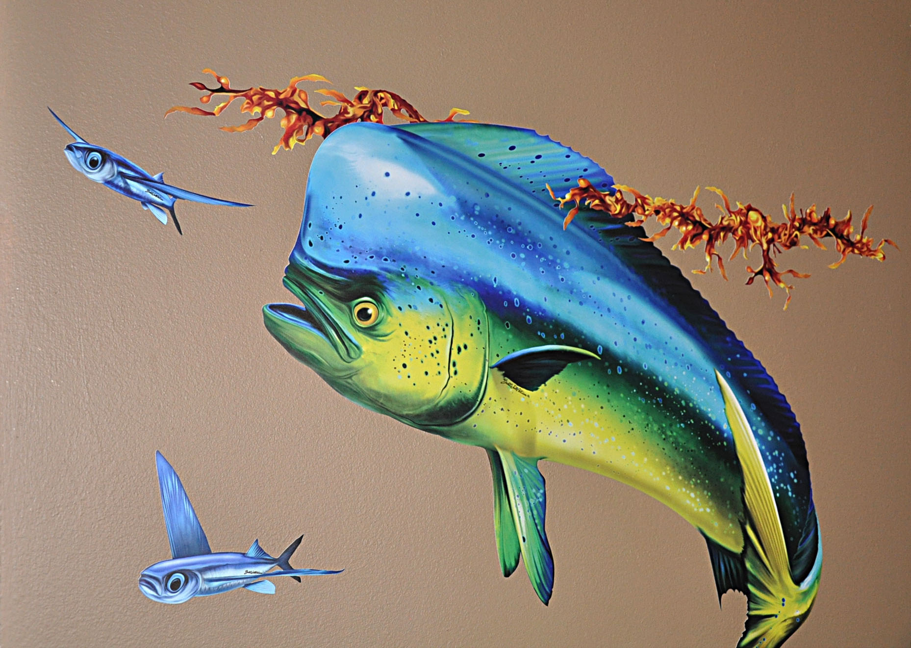 Mahi Mahi (Dolphin Fish) Wall Decal Wall Art