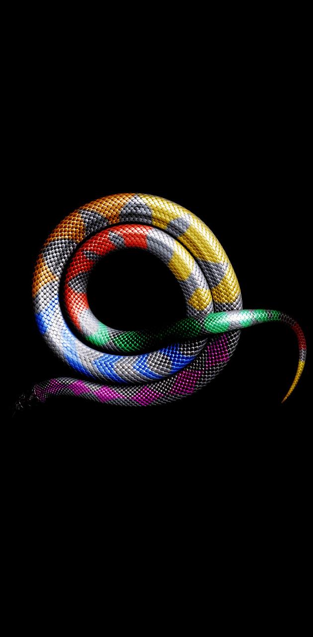 colorful snake wallpaper