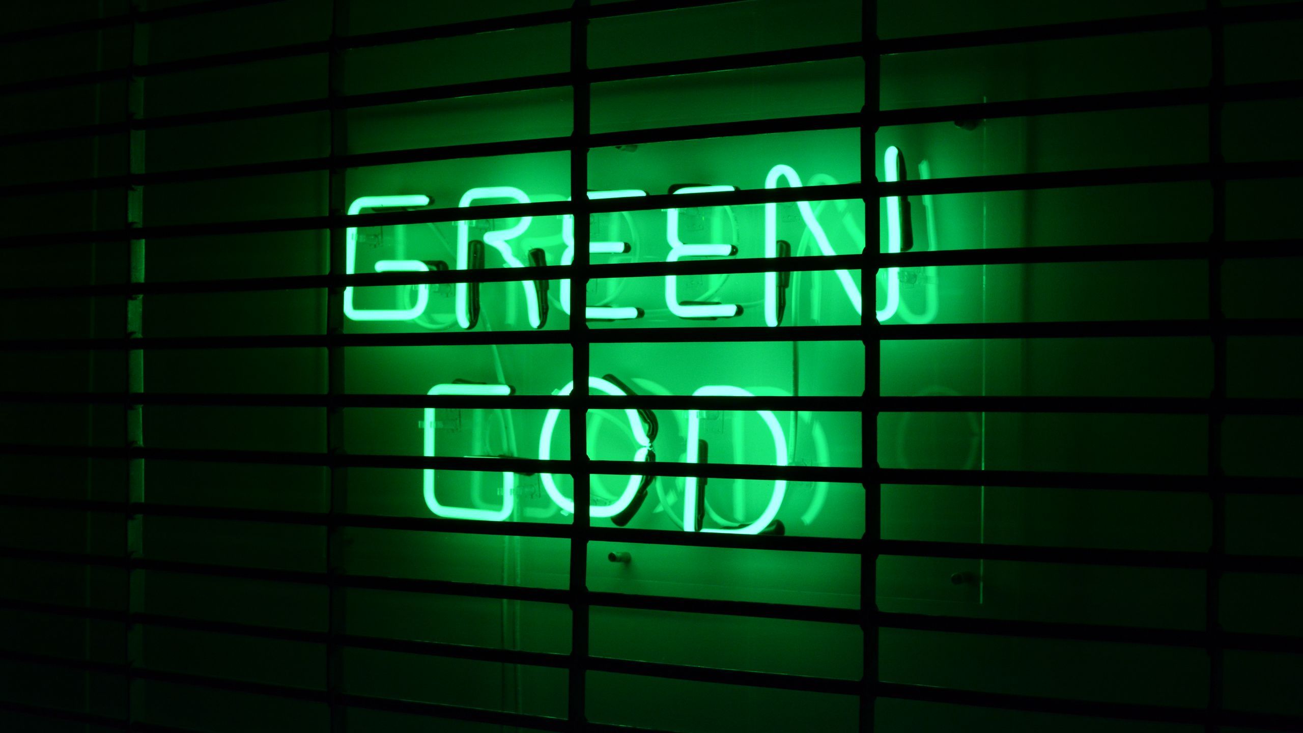 Neon Green Wallpaper, HD Neon Green Background on WallpaperBat