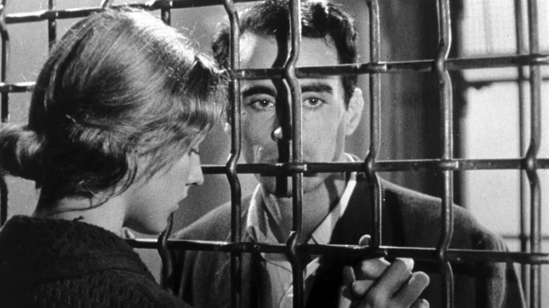 Tribute to Robert Bresson and Notes on the Cinematographer