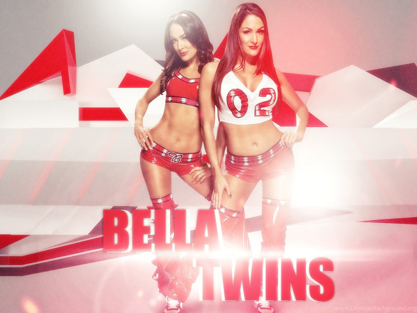 WWE Bella Twins HD Wallpaper Desktop Background